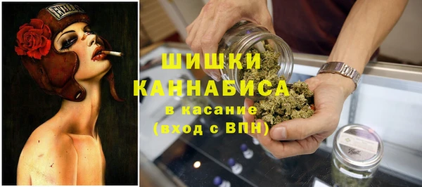 сатива Арсеньев